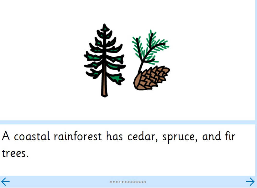 Coastal Rainforests