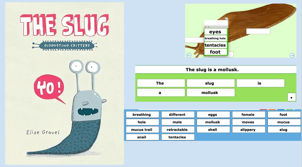 The Slug book cover and grid