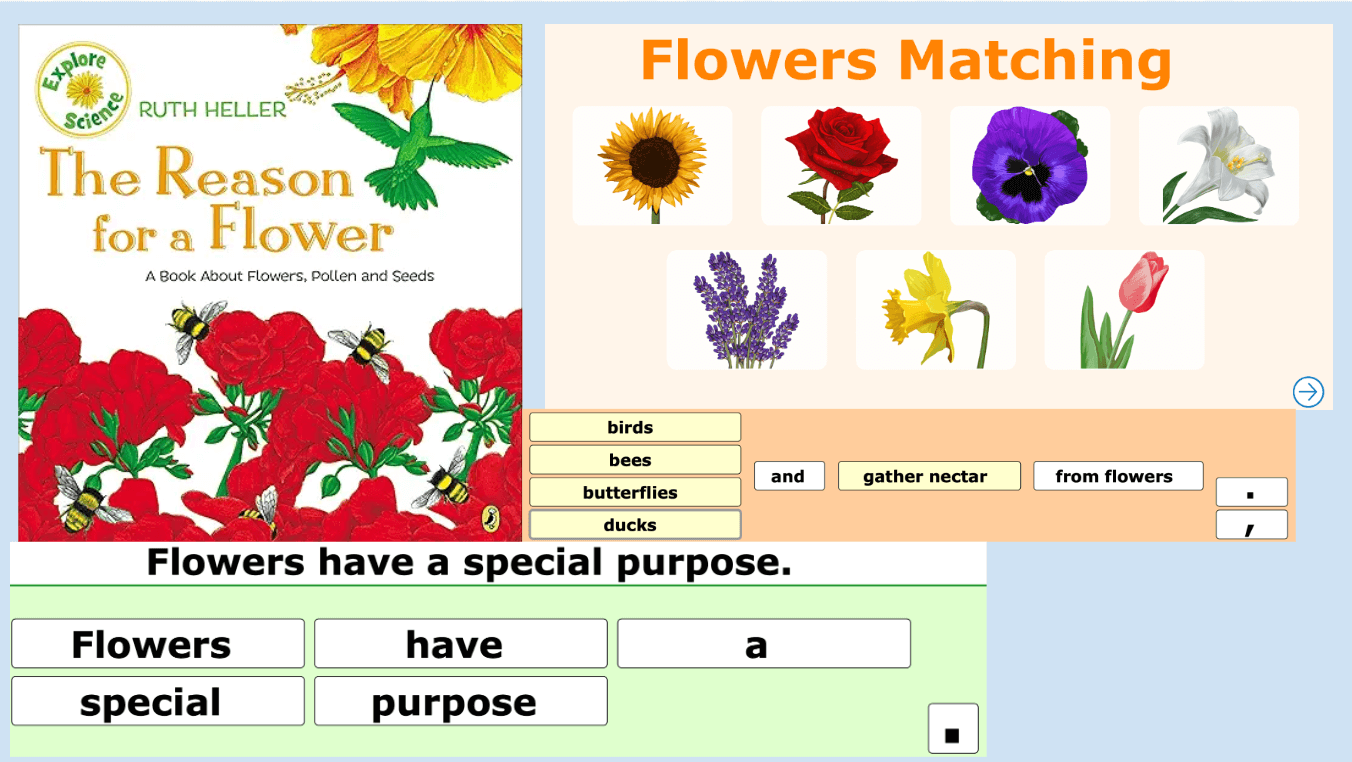 Reason for Flowers Image